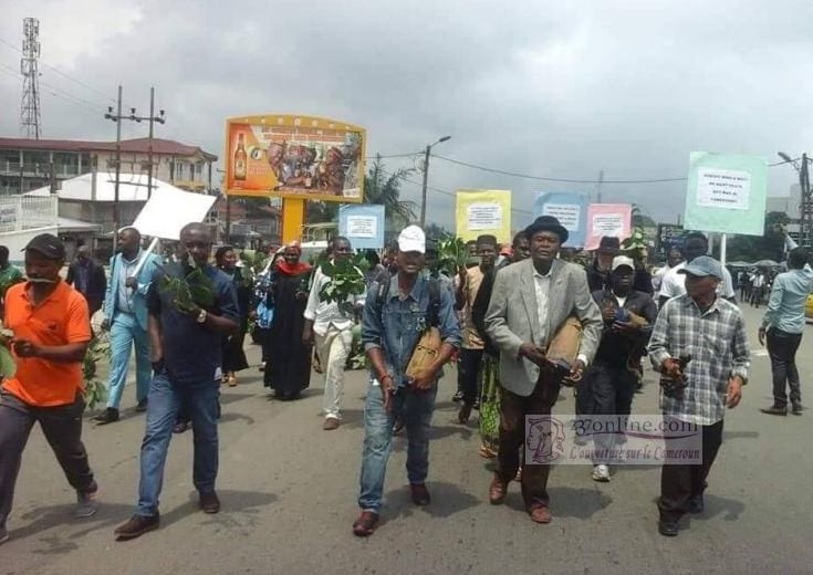Cameroun – Sud-Ouest : les sécessionnistes libèrent 8 chefs traditionnels